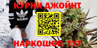 ПСИЛОЦИБИНОВЫЕ ГРИБЫ Нарткала